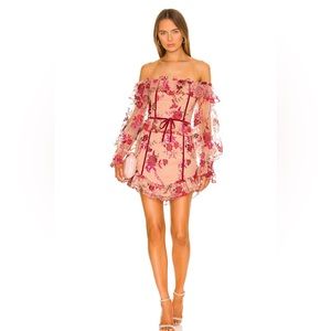Revolve Mini Dress